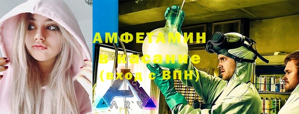 индика Осинники
