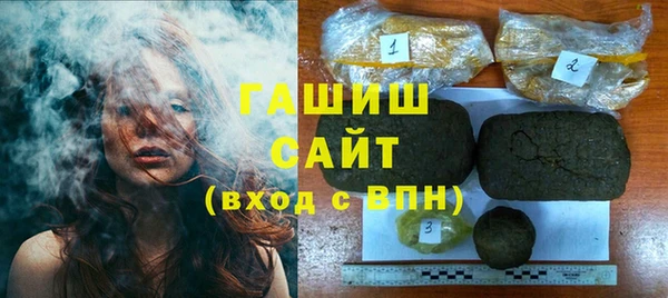 индика Осинники