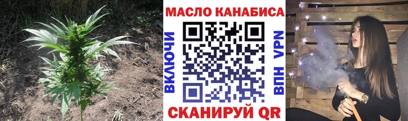 купить закладку  Волхов  Дистиллят ТГК гашишное масло 